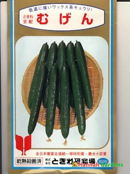 100 Seeds Tokiwa Tokyo Green Japanese Long Burpless Cucumber Seeds 常磐 ときわ 胡瓜 Hannah Gardens 7174